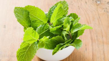 garnishing-instructions-image